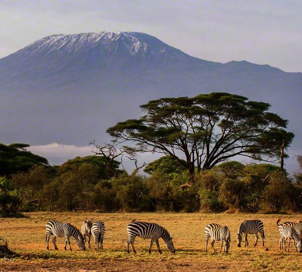 2-days-amboseli-safari