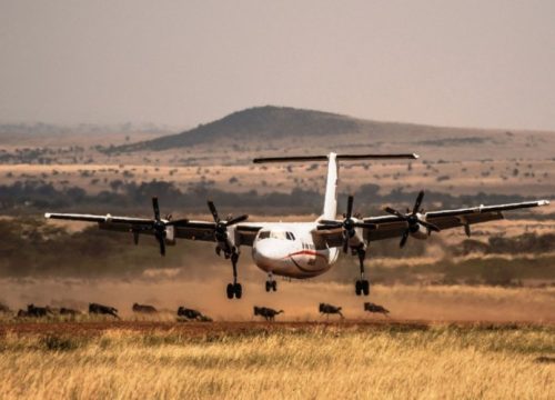 2 Days Masai Mara Fly-in-Safari From Diani/Mombasa