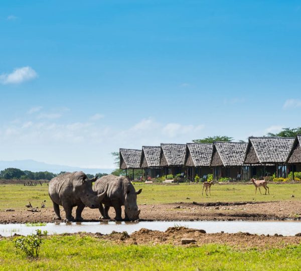 Ol-pejeta-conservancy-day-trip-from-nairobi
