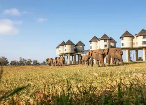 3 Days safari Tsavo East & Taita Hills Wildlife Sanctuary