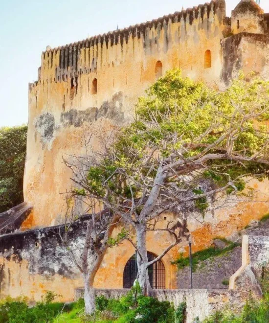 Mombasa Day Tours