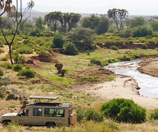 Safaris From Nairobi